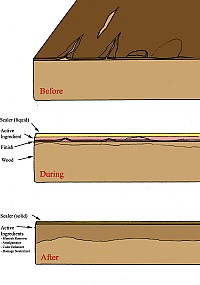How Dr. Woodwell's Wood Elixir works